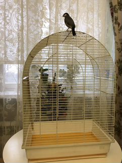 Клетка для попугая