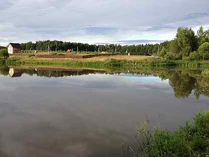 Захарьино новгородский район фото