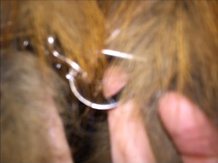 Меховой жилет