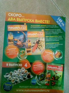 Журнал 