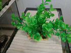Искусственная зелень для аквариума объявление продам