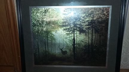 Тихий лес оленей/Stag животных