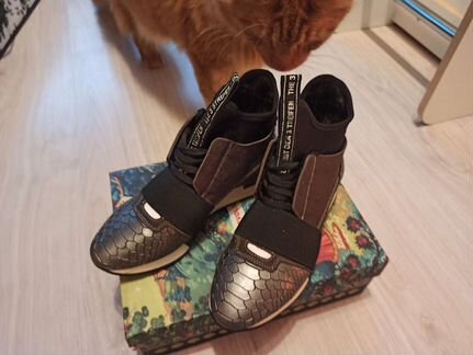 Кроссовки Терволина