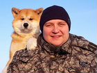 Дрессировка собак Нижнекамск / Гостиница для собак