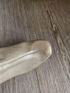 Золотые сапоги