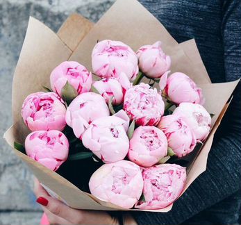 Пионы Букет пионов, 11, 21 пион с доставкой