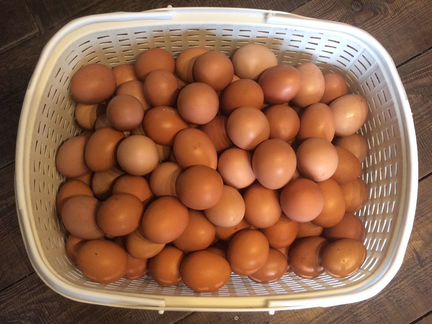 Яйца,домашние сало