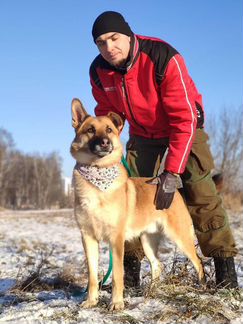 Лайка в дар