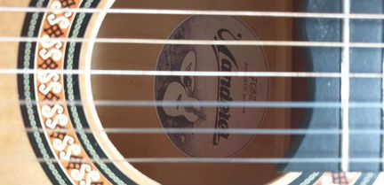 Акустическая гитара Wanderer 7CB2 с чехлом