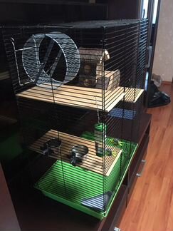 Большая клетка для грызунов и всё что нужно