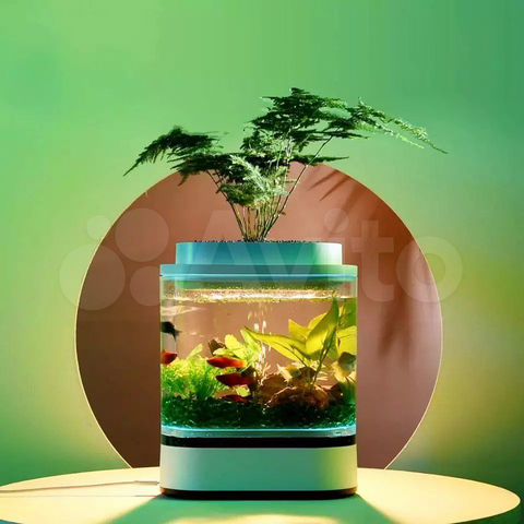 Аква-ферма Xiaomi Mini Lazy Fish Tank