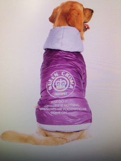 Куртка для средней собаки