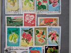 Коллекция марок 1980х годов в кляссере